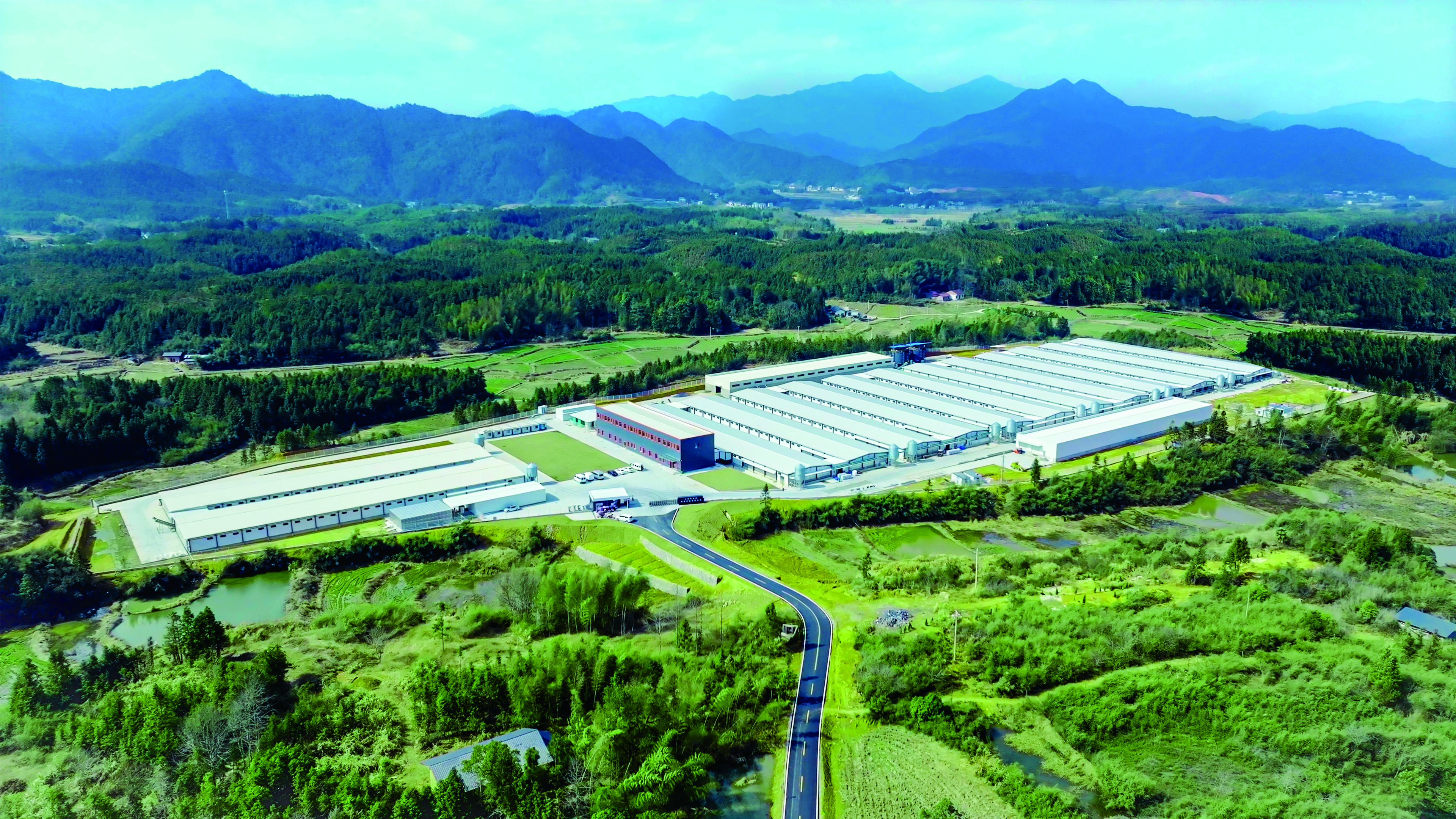 新春家書(shū)|根深則葉茂,心定則路遠(yuǎn) 新春家書(shū)|根深則葉茂,心定則路遠(yuǎn)